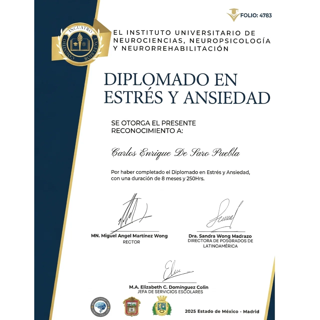 Certificado de Carlos Enrique De Saro Puebla